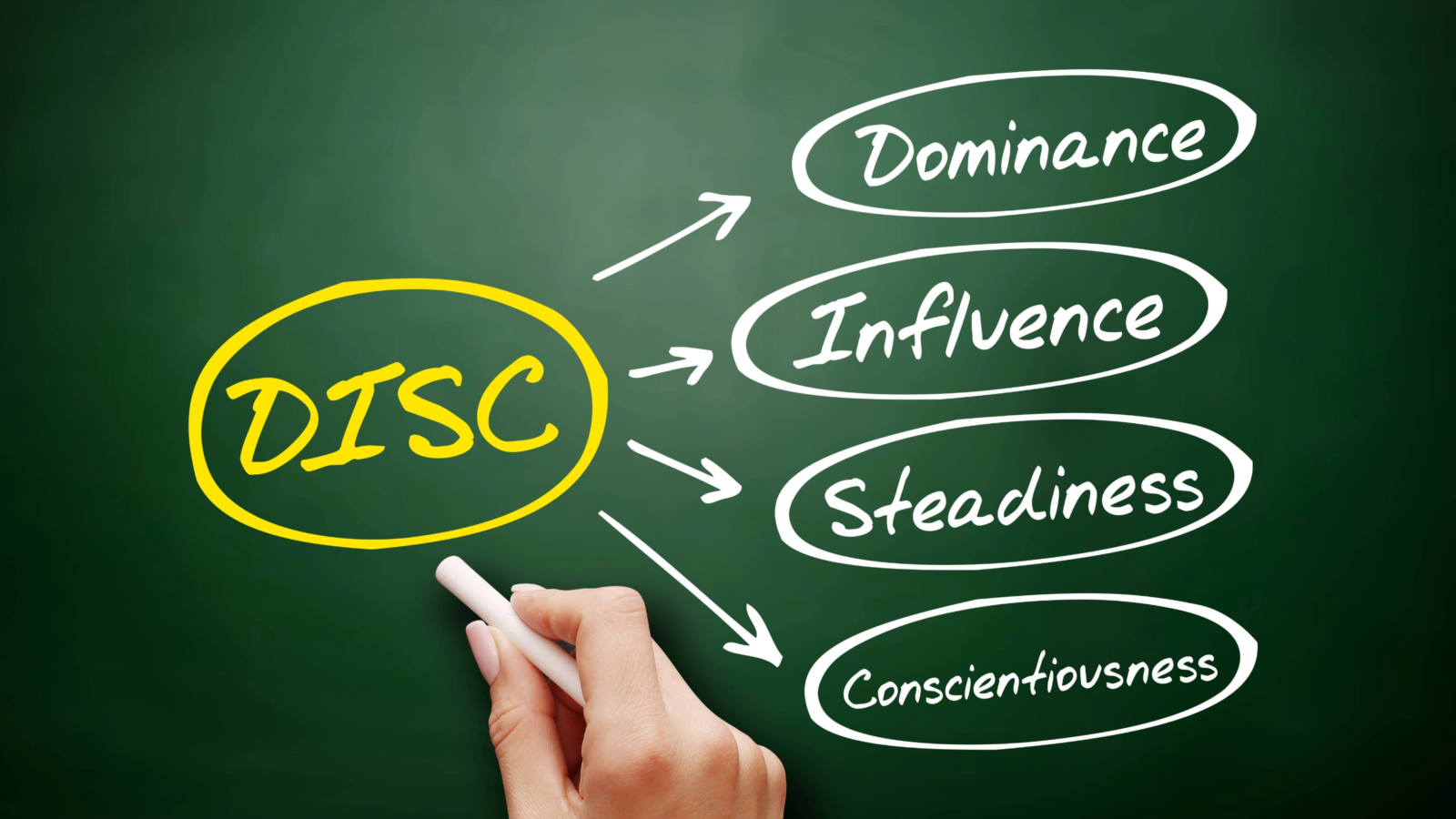 Disc Solutions DISC Training: Getting the Most Out of DISC for Your Organization - HSI